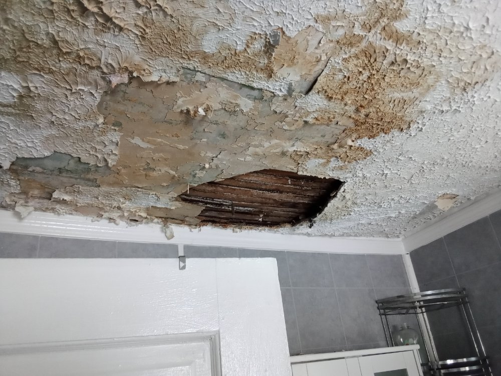 Better Built Home And Property Maintenance