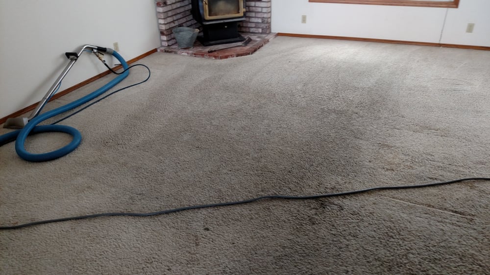 1st Choice Carpet Care