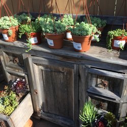 Armstrong Garden Centers 92 Photos 87 Reviews Nurseries Photo Of Armstrong Garden Centers Long Beach Ca United States