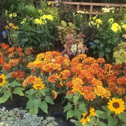 Castle Nurseries Gardening Centres Birmingham Road Studley Photo Of Castle Nurseries Studley Warwickshire United Kingdom