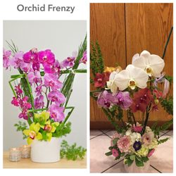 The Daily Blossom Florist 385 Photos 153 Reviews Florists Photo Of The Daily Blossom Florist San Gabriel Valley Ca United States