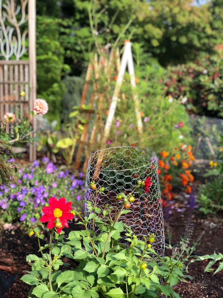 Regenerate Garden Design