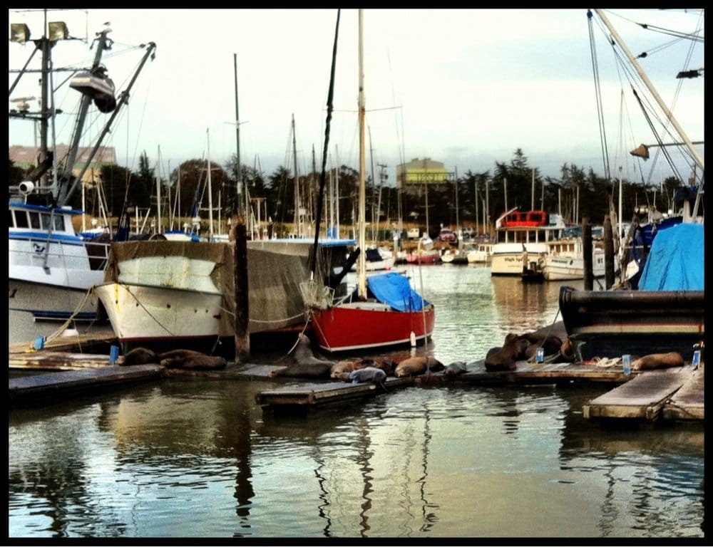 Moss Landing KOA Express 36 Reviews Campgrounds 7905 Sandholdt Rd