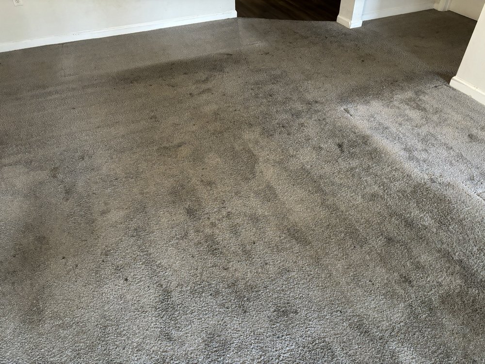 HSquared Carpet Cleaning