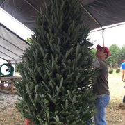 photo of country cove christmas tree farm murfreesboro tn united states - Country Cove Christmas Tree Farm photo of country cove christmas tree farm murfreesboro tn united states - Country Cove Christmas Tree Farm