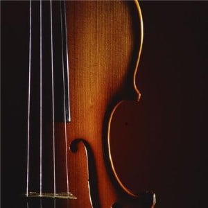 Carman Violin Studio