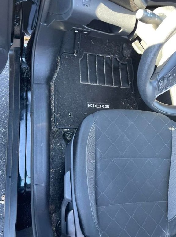 Hortons Detailing
