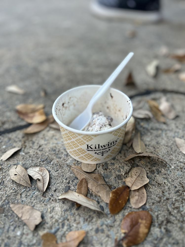 Kilwins Plano