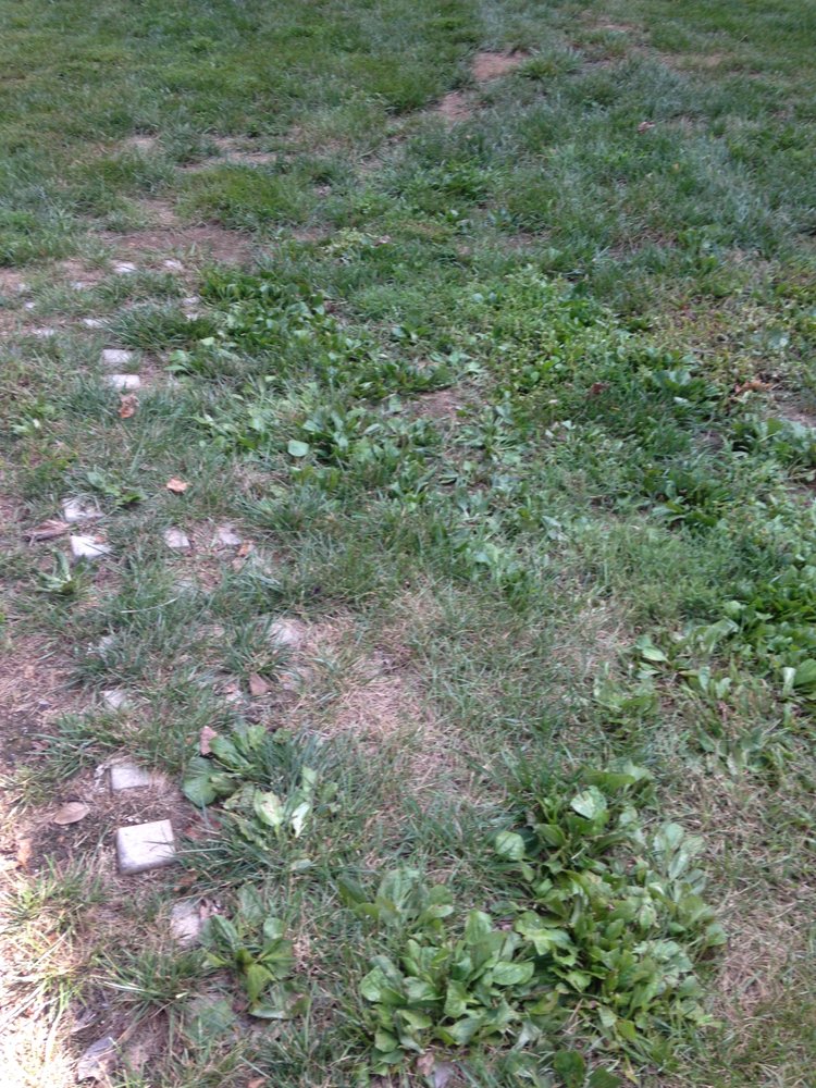 Bay Country Lawns