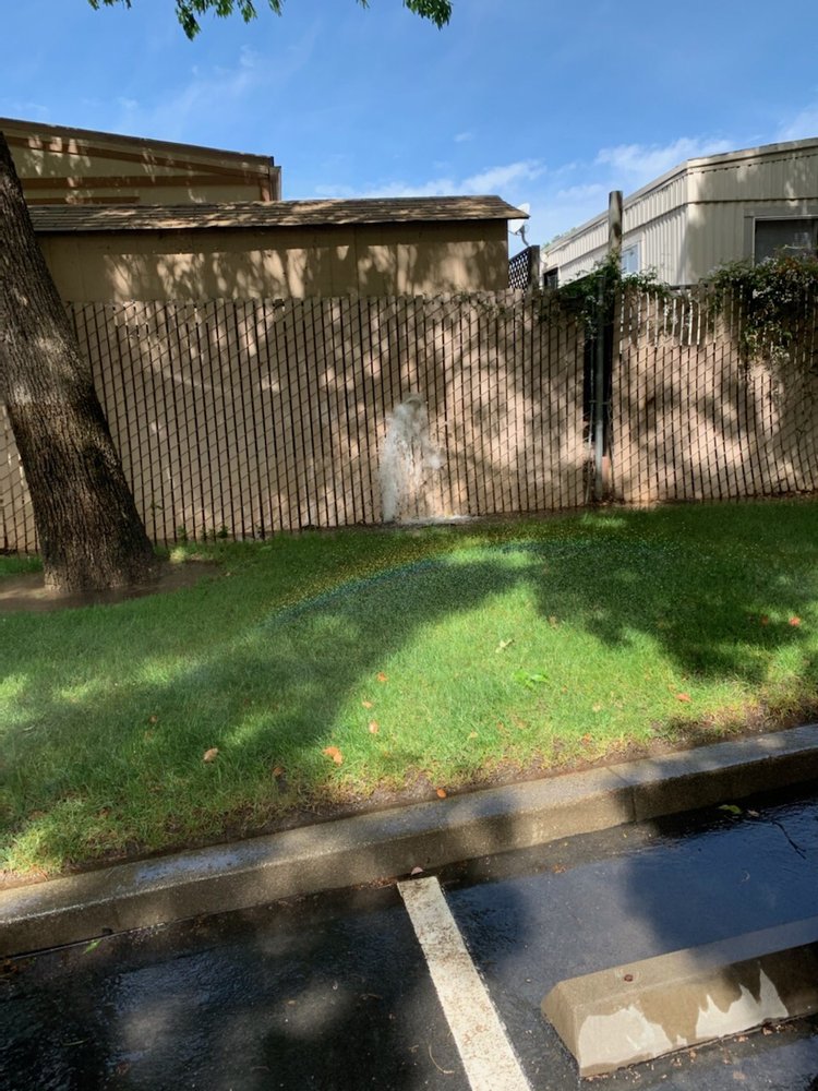 Camden Parc