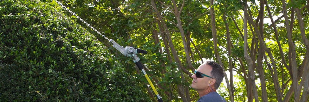 Tree Pro Tree Service