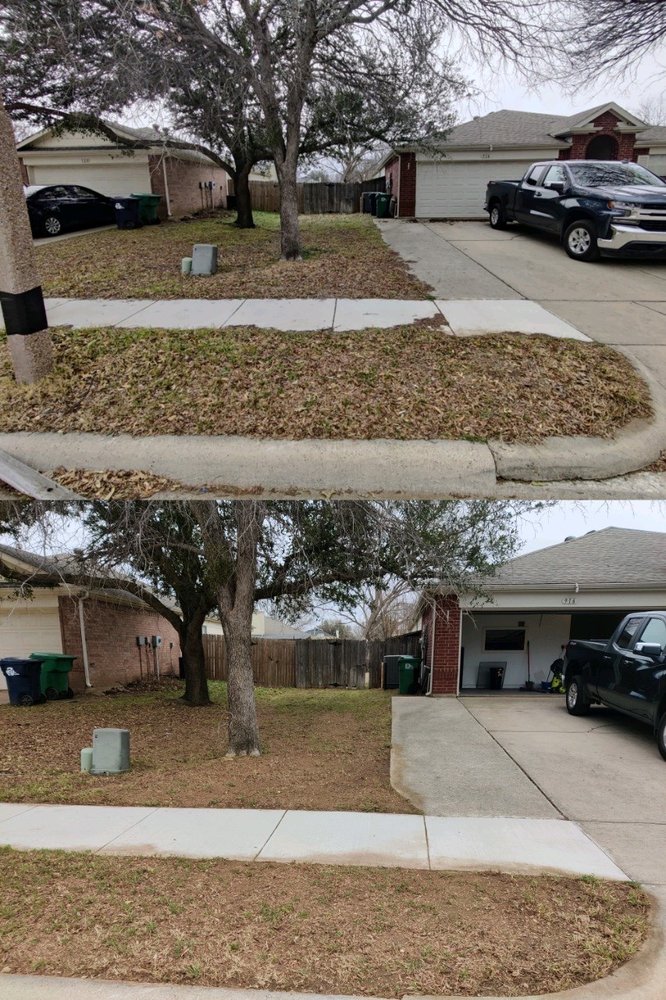 Jose Does Landscape & More