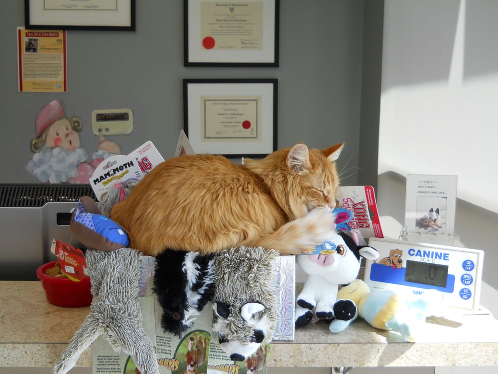 VCA Canada Landing Animal Clinic