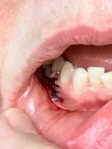 image of business Boatright, Stephen, DDS