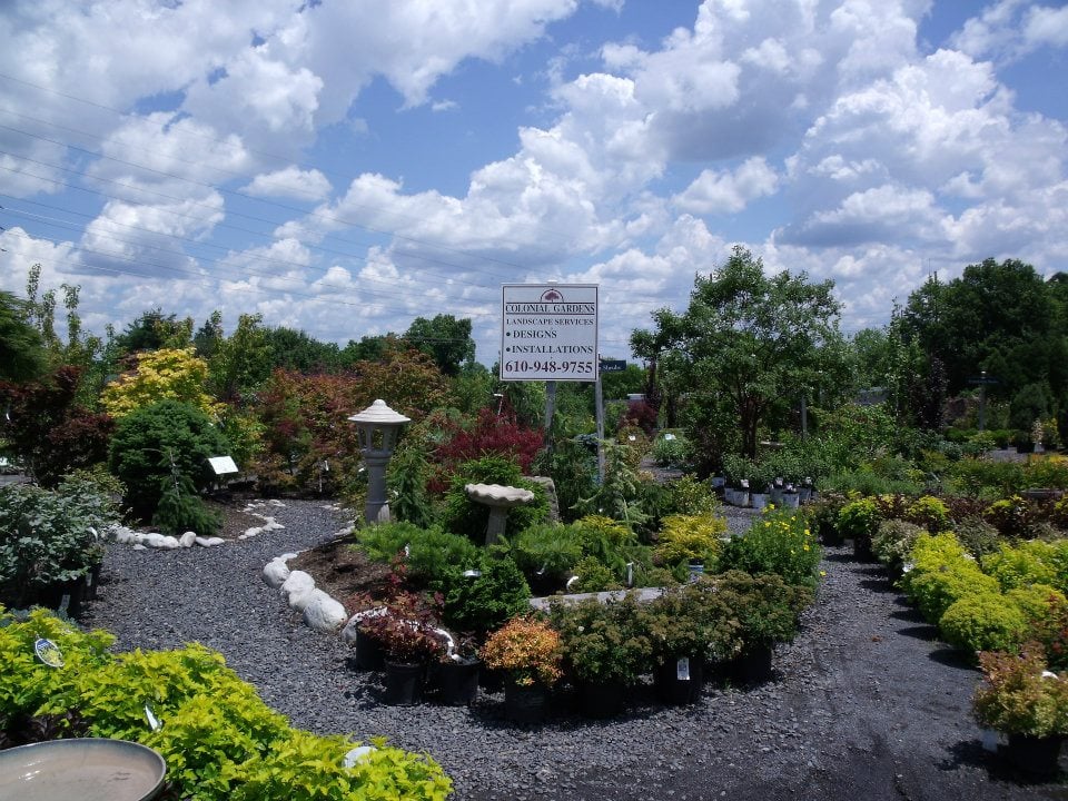 Photos for Colonial Gardens - Yelp