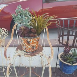 California Silk Plant Company Home Decor 27781 B La Paz Rd Photo Of California Silk Plant Company Laguna Niguel Ca United States Most