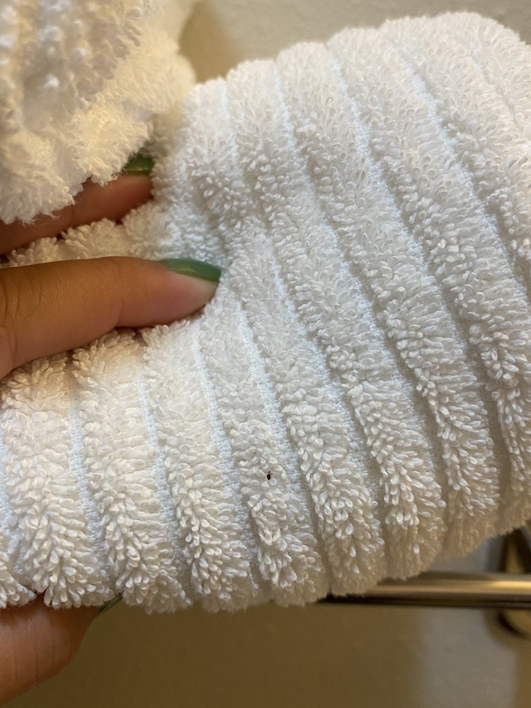 Candlewood Suites Lake Jackson-Clute
