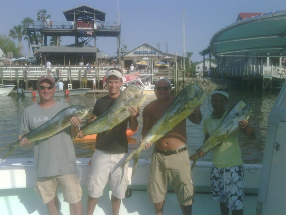 Summerville Seafood Seafood Markets 908 Bacons Bridge Rd, Summerville, SC Phone Number Yelp