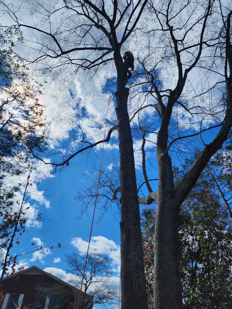 Your Way Lawn & Tree Service