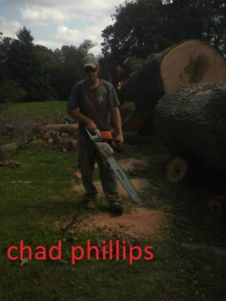 Phillips Tree Service and Lot Clearing
