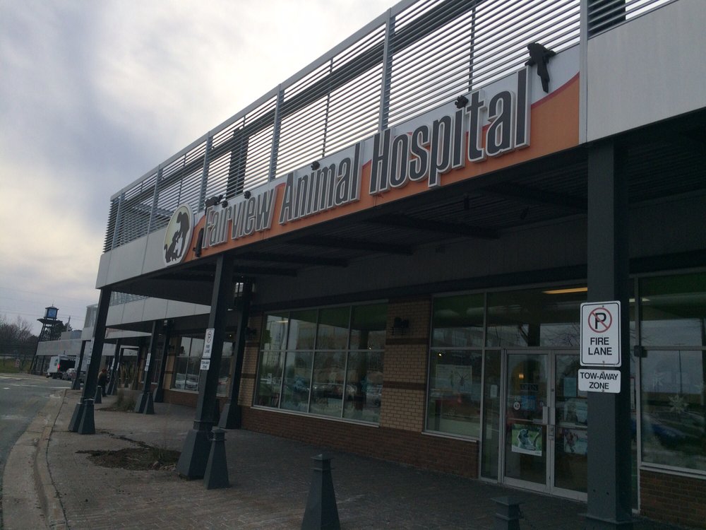 Fairview Animal Hospital 21 Photos Pet Stores 7071 Bayers Road