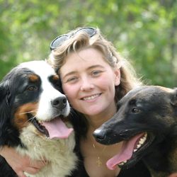 Fresno Pet Pleasure 42 Photos 29 Reviews Dog Walkers 3639 N