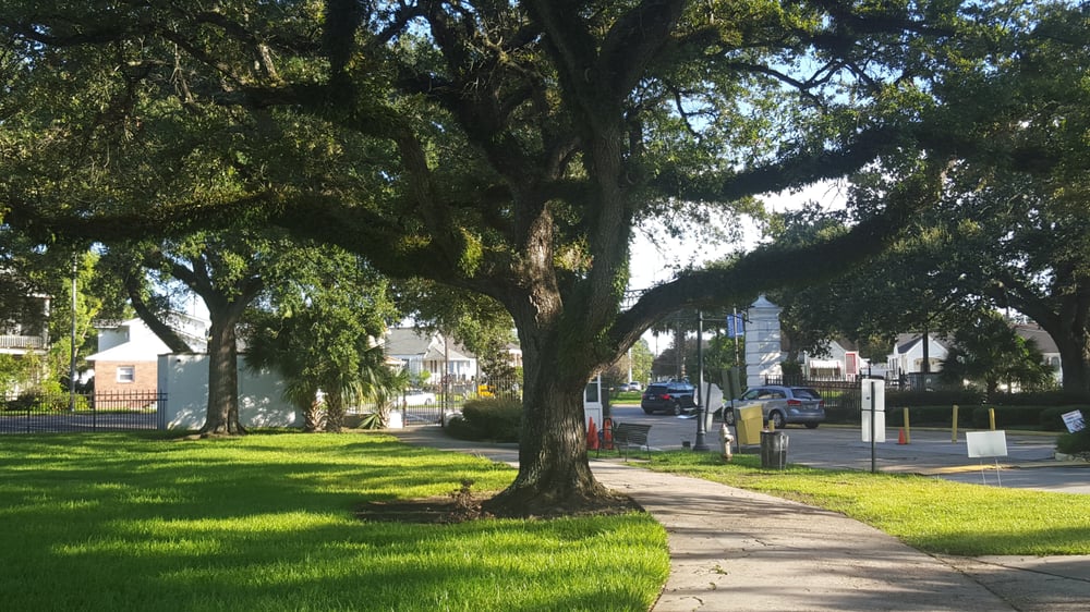 Dillard University 30 Photos Colleges & Universities 2601