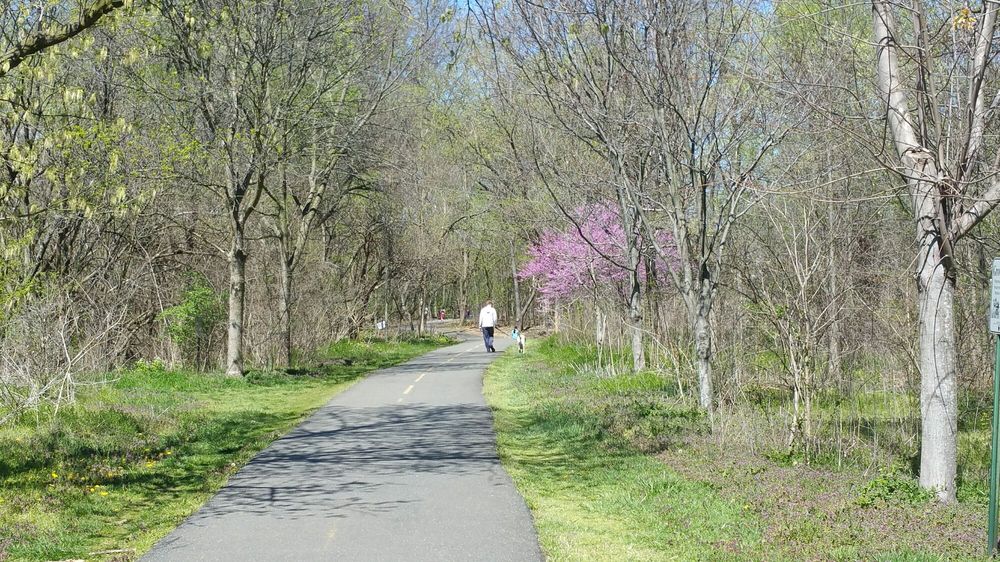 Barcroft Park