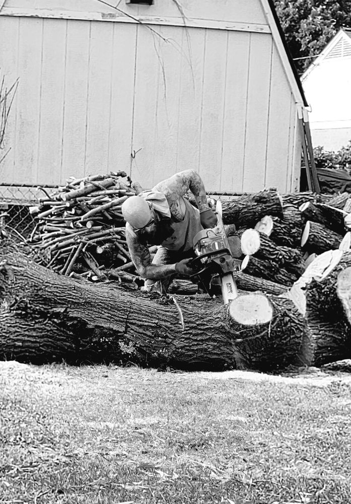 Prune Tree Care Experts