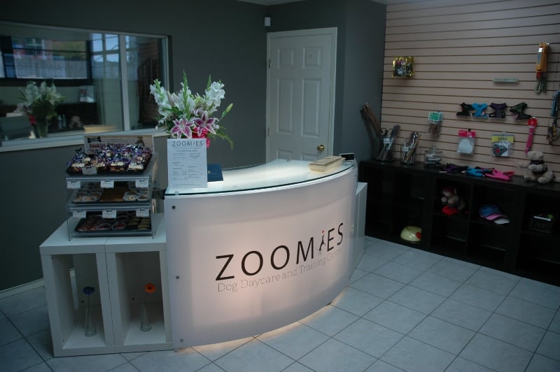 Zoomies Dog Daycare and Training Centre 10 Reviews Pet Sitting