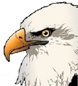 image of business Semper Fi Services