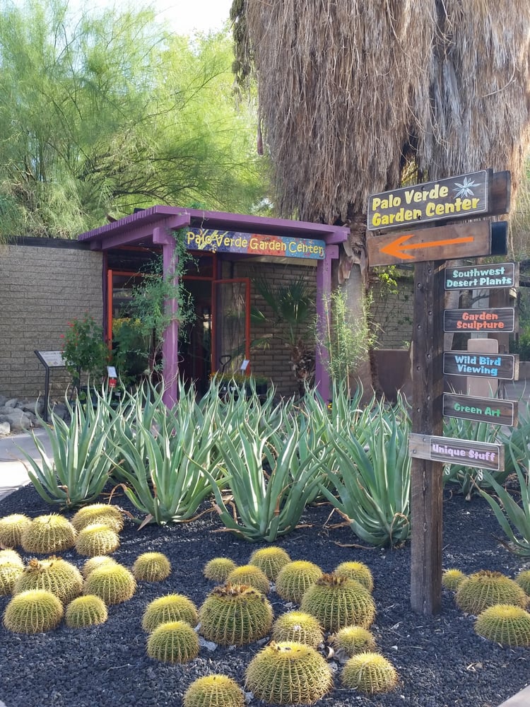 The Living Desert S Palo Verde Garden Center 11 Reviews The Living Desert S Palo Verde Garden Center 11 Reviews Nurseries Gardening 47900 Portola Ave Palm Ca Phone Number Yelp