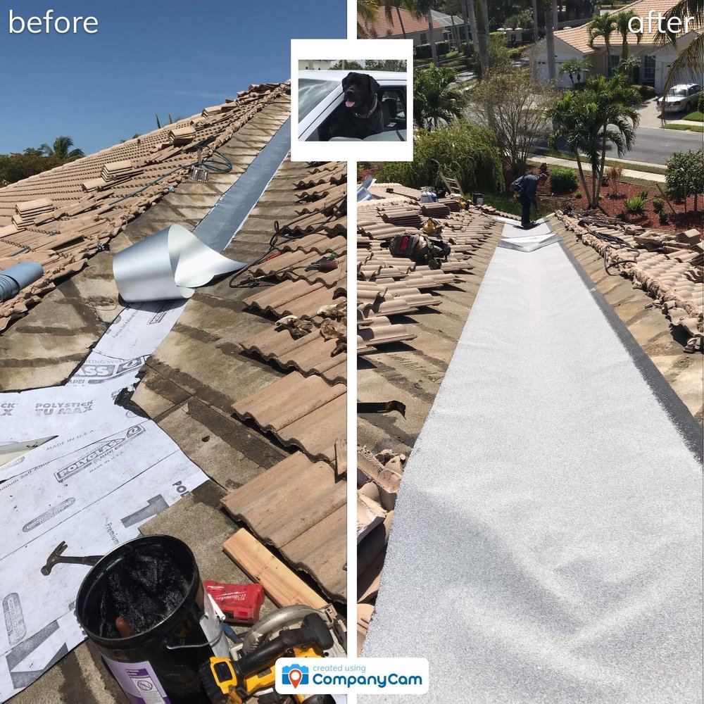 Blue Dog Roofing & Construction