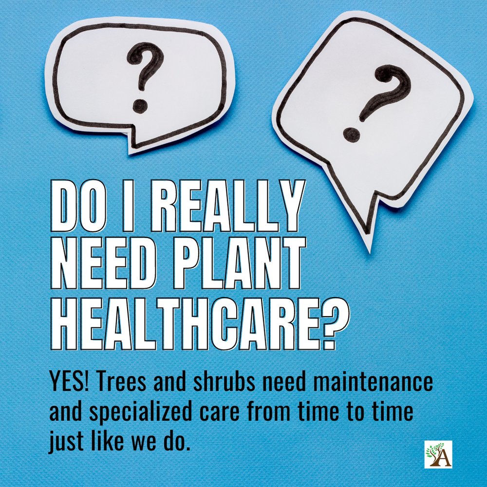 Advance Tree & Shrub