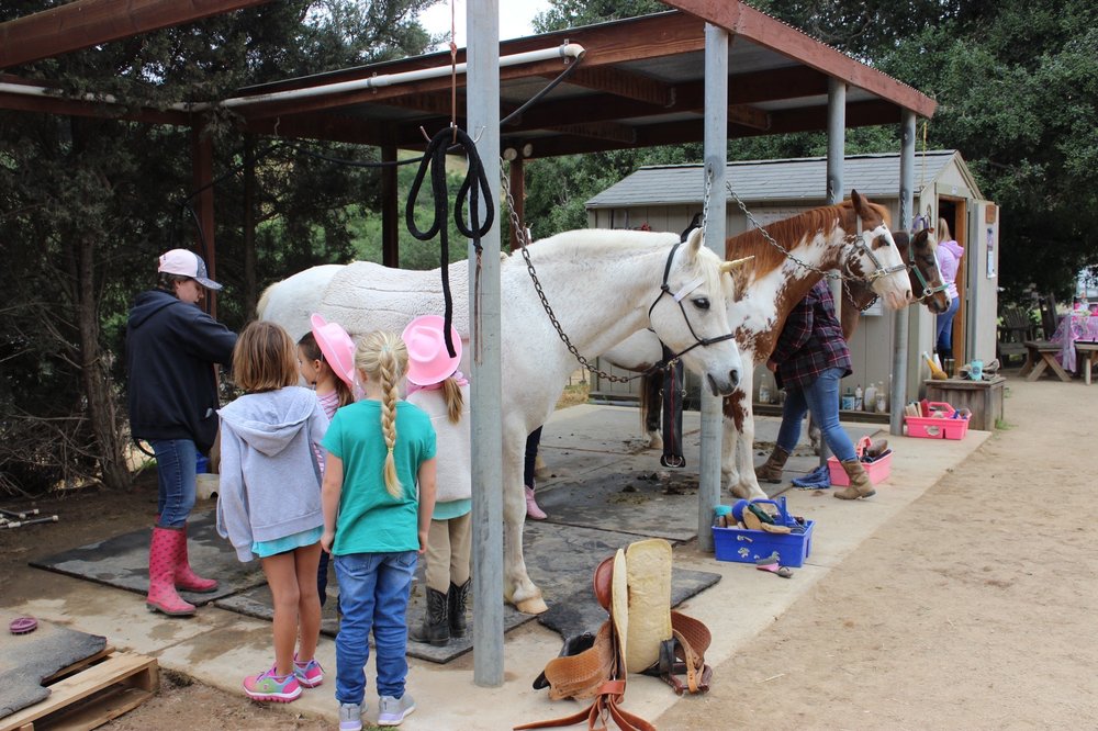 Grindstone Farms and Horse Camps