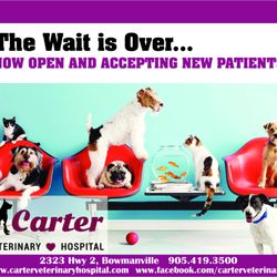 carter veterinary hospital request