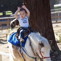 Video Eden Park ist Ponys, Galerie bild dreier