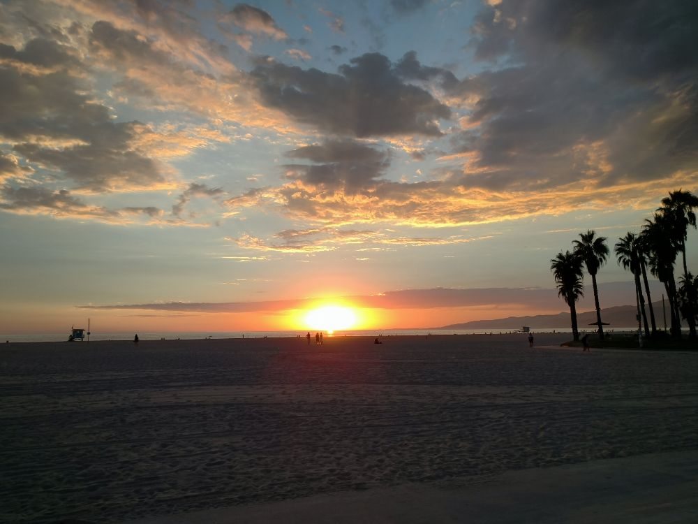 Photos For Venice Beach Smoke Yelp Photo Of Venice Beach Smoke Ca United States