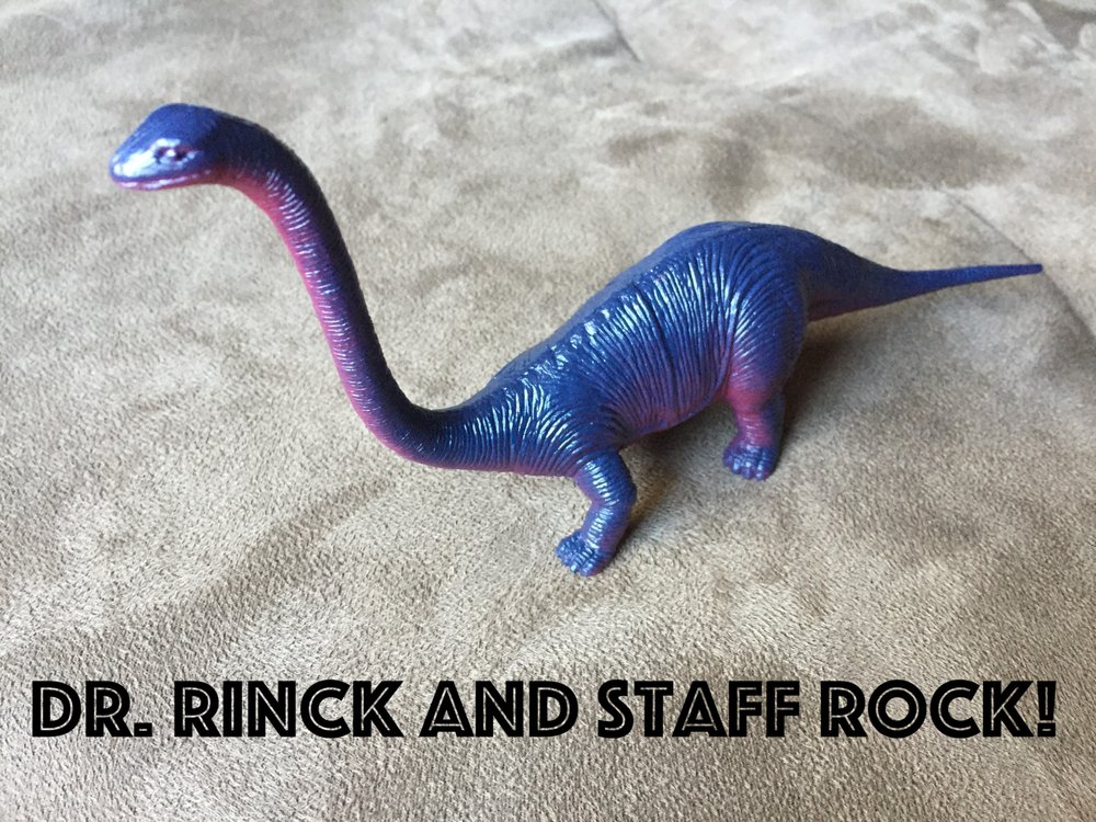 image of business Melissa E Rinck, DDS