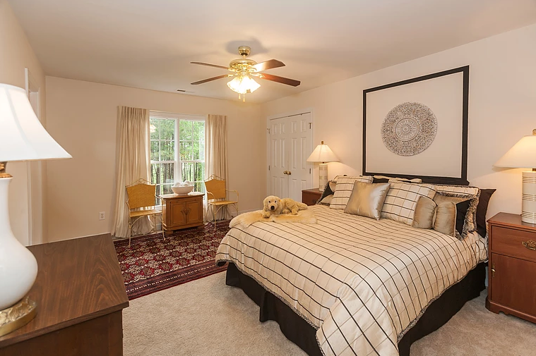 Martin Fried Photography