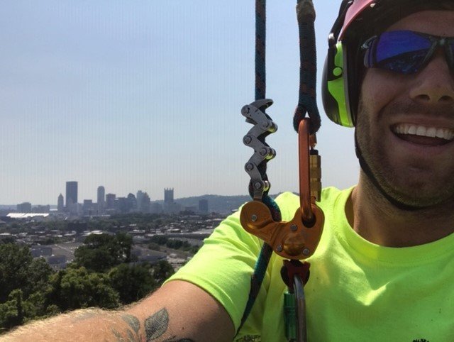 Elevated Tree Care