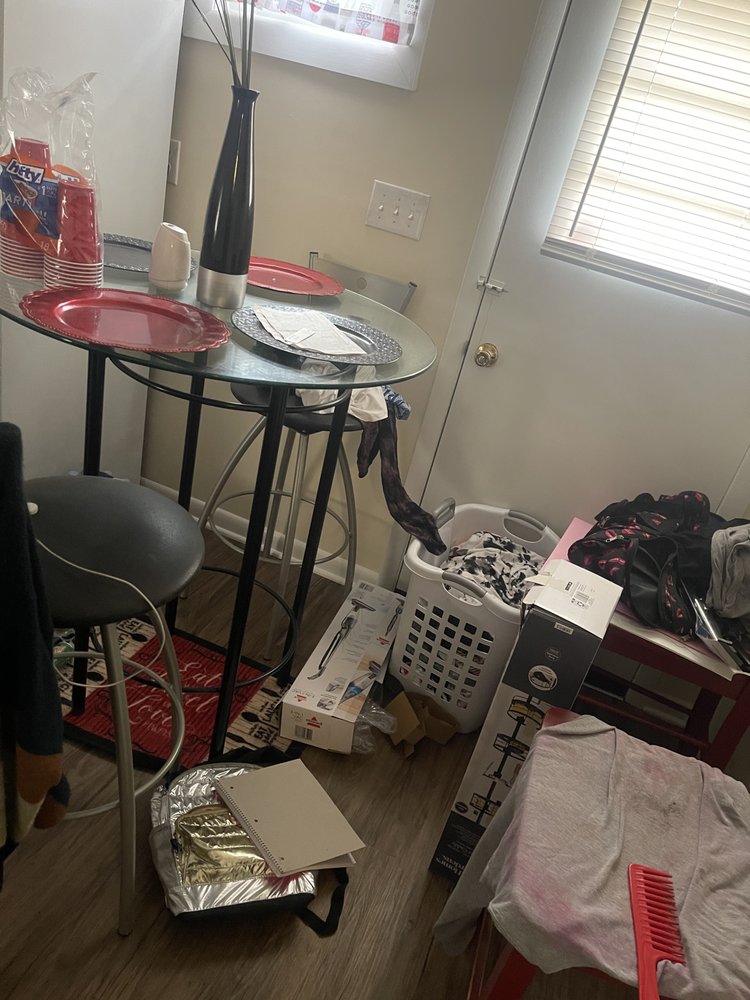 Blossom Butterfly Cleaning Service