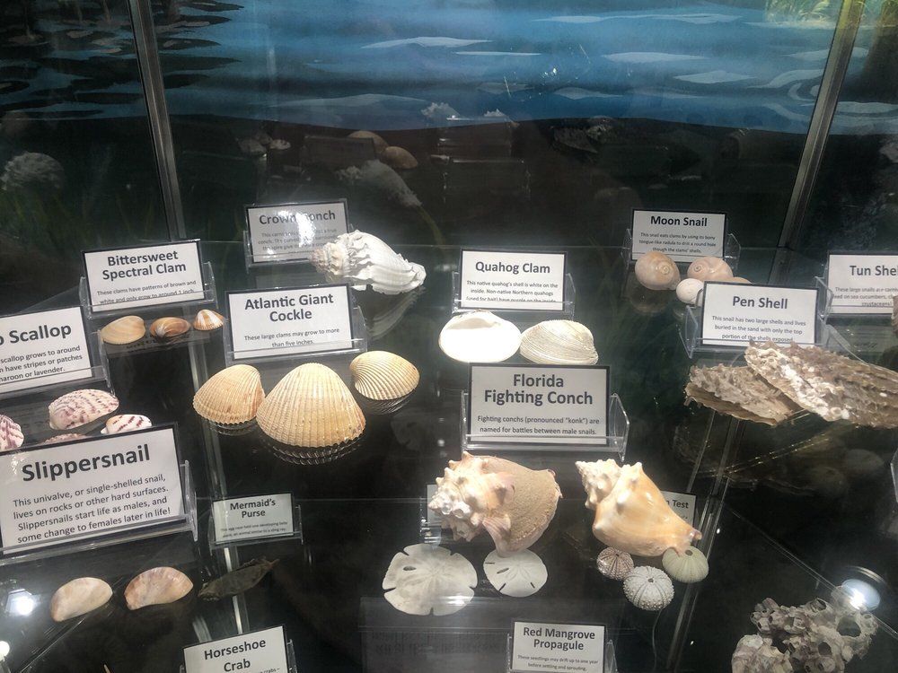 Smithsonian Marine Station