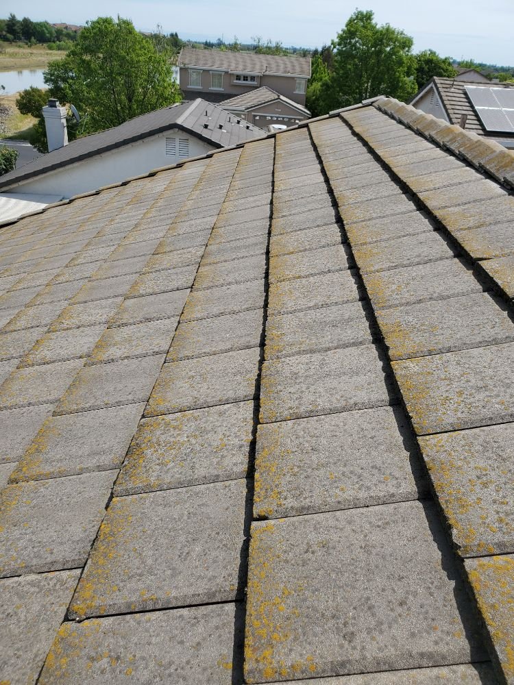 Pinnacle Pressure Washing