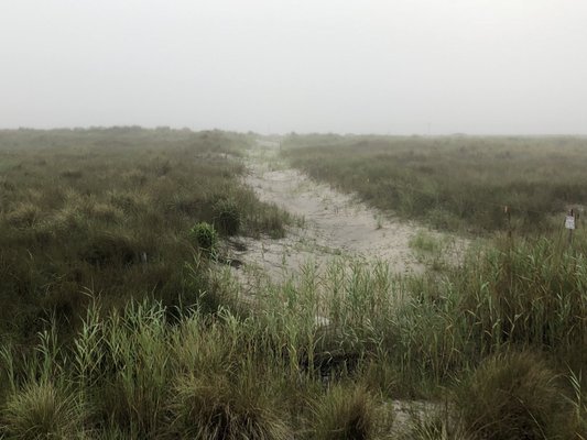 Oceans Edge Settlement Services