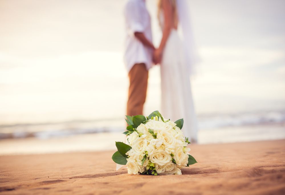 Masters of Light Photography