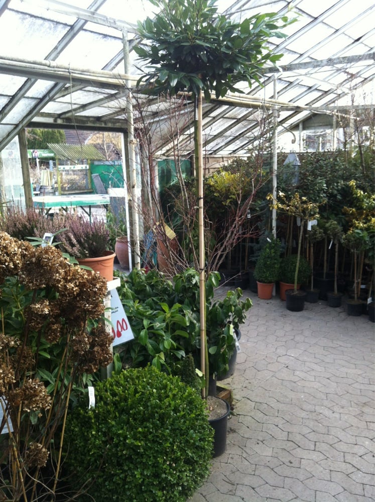 amager planteland amager planteland