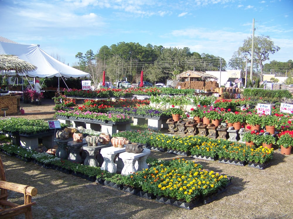 Discount Plants of Florida Nurseries & Gardening 14985 Old St