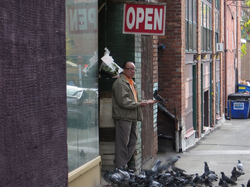 Liem’s Aquarium & Bird Shop CLOSED 17 Photos & 24 Reviews Pet