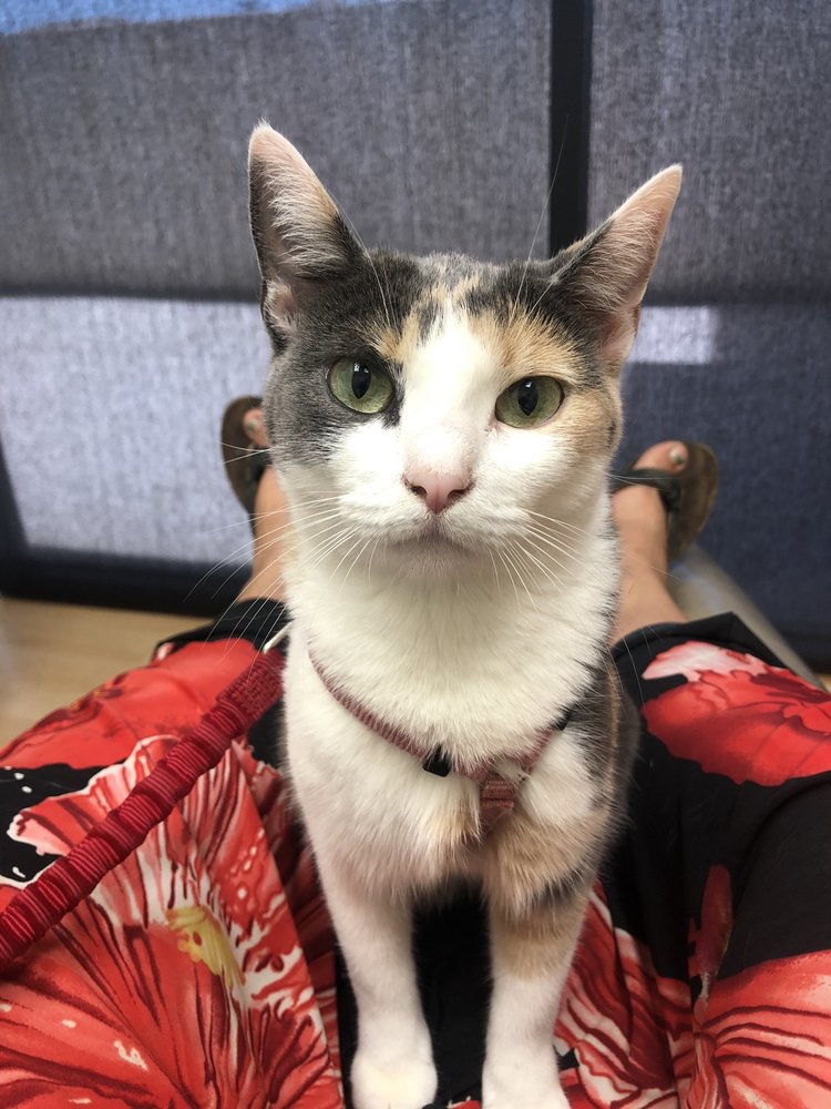 image of business Woodcrest Dental Care